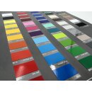 Edelstahl Kennzeichenhalterung 520x110mm mit Beschriftung nach Wunsch